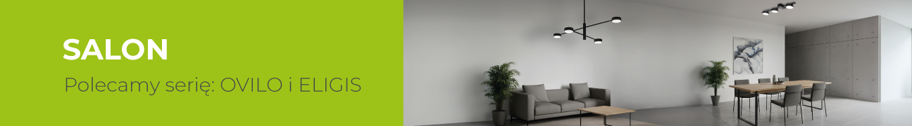 Oświetlenie do salonu