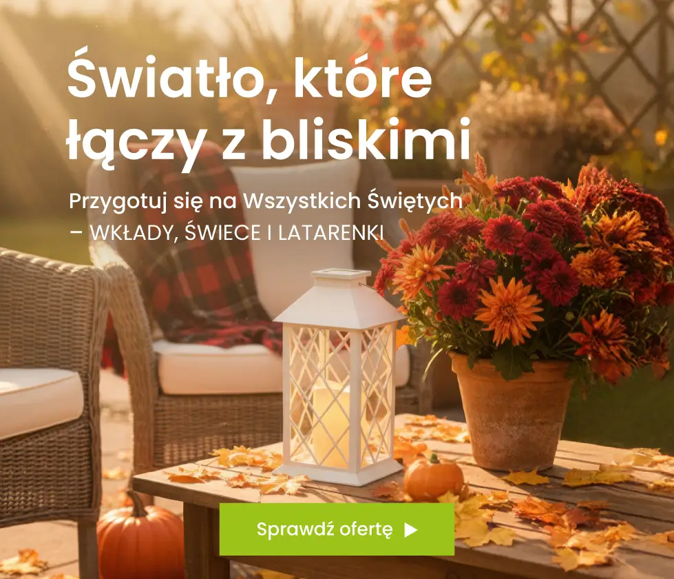 Wszystkich świętych