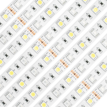 Taśma LED Pasek 12V 72W 300LED 5050 RGB + Neutralna barwa 10mm 5m