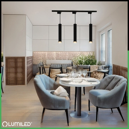 Lampa Wisząca Sufitowa Zwis 29cm Reflektor GU10 LED ELIGIS Czarny LUMILED