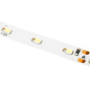 Taśma LED Pasek 12V 24W 300LED 2835 Zimna 8mm 5m