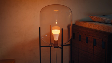 2x Żarówka LED E27 A60 6W = 60W 810lm 1800-20000K CCT + RGB SMART Inteligentna Bluetooth ZigBee White and Color Ambiance Philips HUE