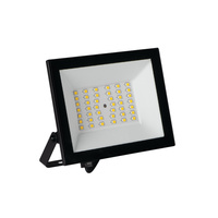 Naświetlacz LED GRUN 30W 2650lm 4000K IP65 Czarny KANLUX