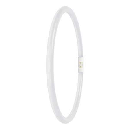 Świetlówka LED Kołowa 2GX13 T5 21.5W 2900lm 3000K Ciepła 120° Ledvance