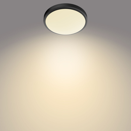 Lampa Sufitowa Plafon Łazienkowy LED 17W 1500lm 2700K IP44 Czarna Doris bathroom Philips
