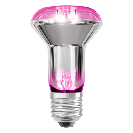 Żarówka LED do Roślin R63 Reflektor E27 7.5W = 15W 140lm Wspomagająca Wzrost Ciepła 100° STAR GROW Osram