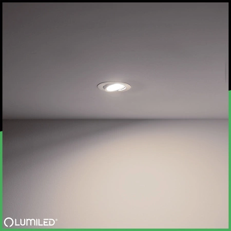 Oprawa Halogenowa Podtynkowa Lampa Sufitowa Okrągła Ruchoma GU10 MR16 Srebrna TRIAM LUMILED