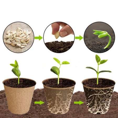 Zestaw 24x Doniczki Torfowe 8x8 cm do Rozsady Wysiewu Pikowania Na Sadzonki Biodegradowalne Okrągłe