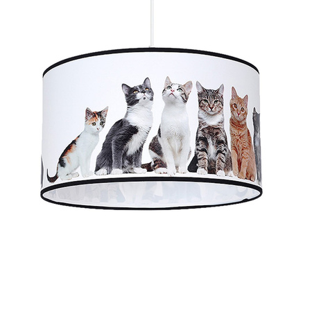 Lampa Wisząca Sufitowa CATS 1xE27 Milagro