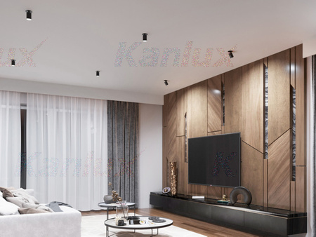 Oprawa sufitowa punktowa ruchoma czarna SPOT CHIRO GU10 Kanlux