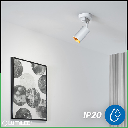 ZESTAW LUMILED SZYNA HUMA BIAŁY + REFLEKTOR SZYNOWY SAGI BIAŁO-ZŁOTY