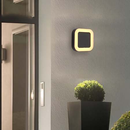 Kinkiet Ogrodowy Elewacyjny Lampa Zewnętrzna LED 12W 4000K IP54 LUPUS