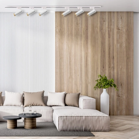 Zestaw Szynowy Szynoprzewód Szyna Listwa 1-Fazowa + 6x Reflektor GU10 Biała FADO Sanico Goldlux