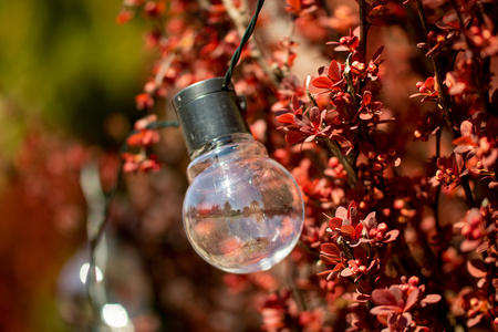 Girlanda Solarna Ogrodowa OZDOBNA Łańcuch Świetlny 3,35m 10xLED PRZEŹROCZYSTYCH Kuleczek 3000K