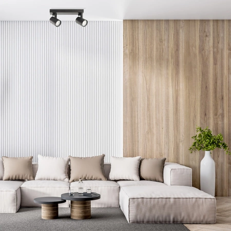 Oprawa Ścienno-Sufitowa Reflektor Punktowy 2x GU10 Czarna LYNX Sanico Goldlux