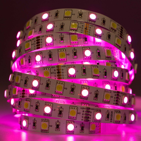 Taśma LED Pasek 12V 72W 300LED 5050 RGB + Zimna 10mm 5m