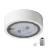 Lampa Znak Awaryjny LED 4.5W = 6W 499lm 5000K Zimny Natynkowa Biała IP65 ITECH Kanlux