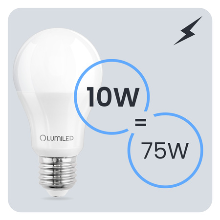 6x Żarówka LED E27 A60 10W = 75W 1100lm 6500K Zimna 260° LUMILED
