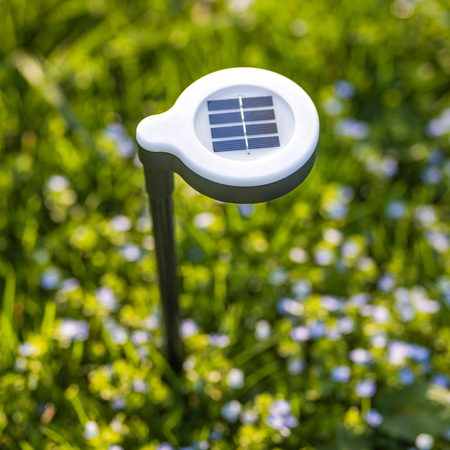 Lampa Solarna Ogrodowa LED Wbijana Zewnętrzna LATI Ciepły Czarny