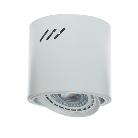 Lampa Oprawa Sufitowa TUBO Biała 1xAR111 Milagro