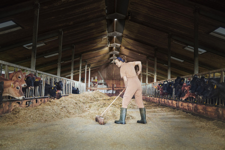 Lampa Przemysłowa Oprawa Zewnętrzna LED 130W 15000lm 6500K IP65 Czarny Highbay Ufo Ledvance