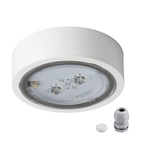 Lampa Znak Awaryjny LED 4.5W = 6W 499lm 5000K Zimny Natynkowa Biała IP65 ITECH Kanlux