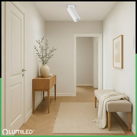 Lampa Sufitowa SPOT TUBA Reflektor Oprawa Halogenowa 1x GU10 TABULA LUMILED