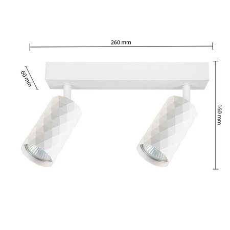 Lampa Sufitowa Spot Tuba Reflektor Oprawa Halogenowa 2x GU10 Ruchomy Biały Glamour Masterled