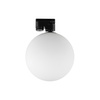 Reflektor Szynowy Lampa do Szynoprzewodów 1-fazowy G9 Czarny Nowoczesna PROFILE SNOWBALL 11298 Nowodvorski
