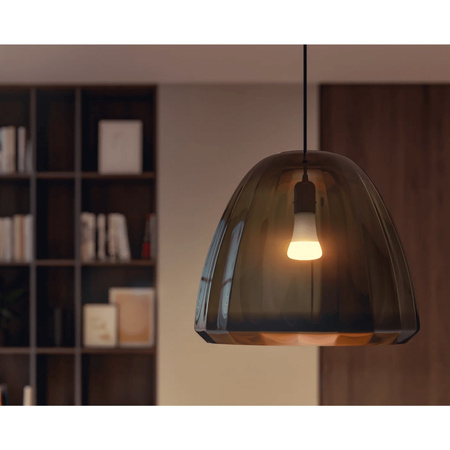 Żarówka LED E27 A67 15,5W 2700K Ciepła PHILIPS HUE White Bluetooth Zigbee