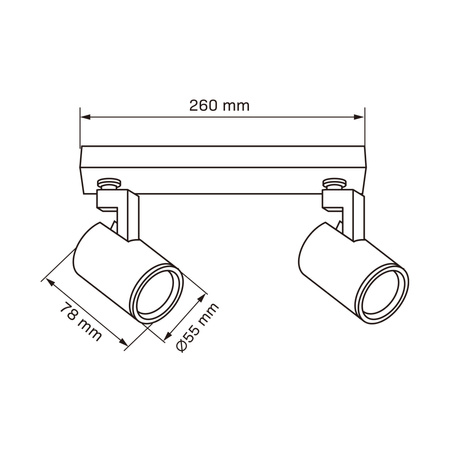 Oprawa Ścienno-Sufitowa Reflektor Punktowy 2x GU10 Czarna LYNX Sanico Goldlux