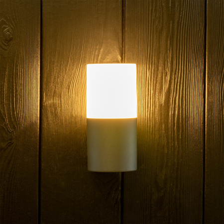 Kinkiet ogrodowy elewacyjny LED E27 IP44 17cm Grafit DALLAS GOLDLUX (Polux)