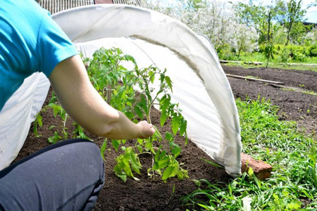 Agrowłóknina Wiosenna Okryciowa 1.1 x 5 m 17g Biała
