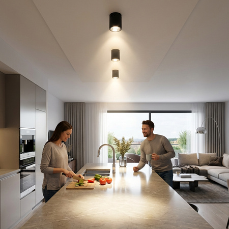 Oprawa Sufitowa Natynkowa Stała Okrągła APUS 10 Spot TUBA Czarna E27