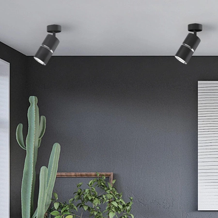 Oprawa Ścienno-Sufitowa Reflektor Punktowy GU10 CzarnaSrebrna BAMBOO Sanico Goldlux