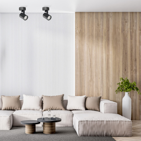 Oprawa Ścienno-Sufitowa Reflektor Punktowy GU10 Czarna LYNX Sanico Goldlux