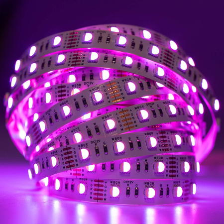 Taśma LED Pasek 12V 72W 300LED 5050 RGB + Zimna 12mm 5m