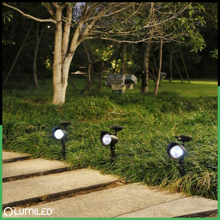 3x Lampa Ogrodowa LED Solarna Wbijana Czarna Kierunkowa OGA Reflektor IP44 6500K LUMILED