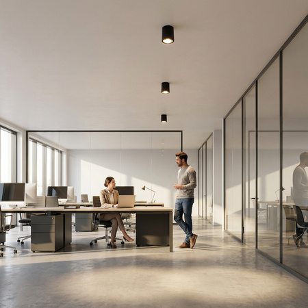 Oprawa Sufitowa Natynkowa Stała Okrągła APUS 13 Spot TUBA Czarna E27