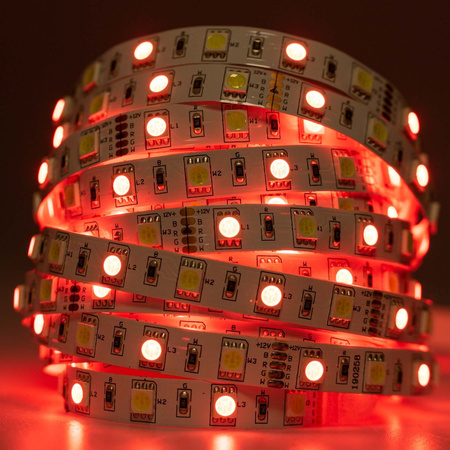 Taśma LED Pasek 12V 72W 300LED 5050 RGB + Neutralna barwa 10mm 5m