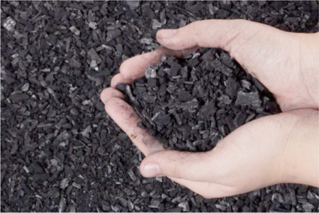 Nawóz BIO Uniwersalny w Granulacie do Użyźniania Gleby Bio Węgiel 5l