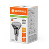 Żarówka LED R50 E14 4.3W = 60W 350lm 2700K Ciepła Biała FILAMENT LEDVANCE