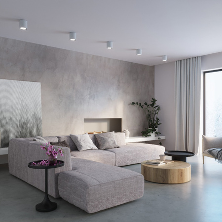 Lampa Sufitowa Oprawa Natynkowa SPOT TUBA GU10 Cylindryczna Szara Industrialna Cullo Sollux