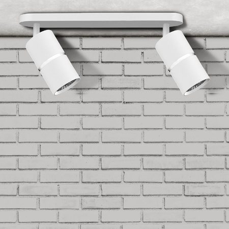 Oprawa Ścienno-Sufitowa Reflektor Punktowy 2x GU10 Biała Srebrna BAMBOO Sanico Goldlux