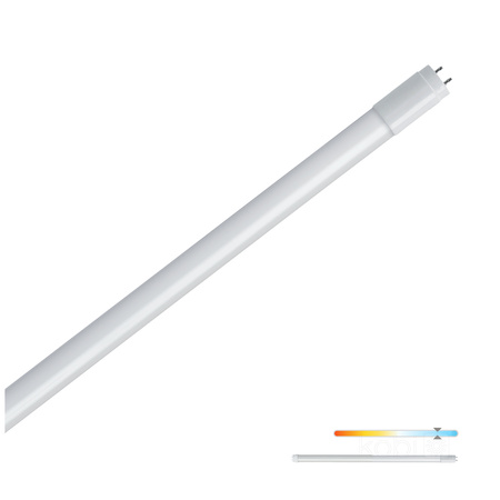 Świetlówka LED T8 G13 9W 1440lm 6500K Zimna 60cm Premium Kobi