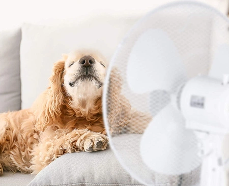 Wentylator Podłogowy Stojący Wiatrak KOBI 45W 43cm Biały