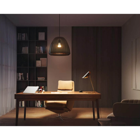 Żarówka LED E27 A67 15,5W 2700K Ciepła PHILIPS HUE White Bluetooth Zigbee