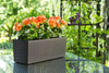 Kwietnik Donica Skrzynka z Wkładem 56 x 19cm Balkonowa Ogrodowa Domowa Rattan Czarna