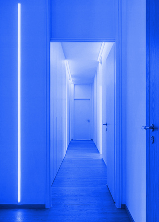 Taśma LED Pasek 12V COB 45W 480LED 2835 Niebieska 8mm 5m ECOLIGHT