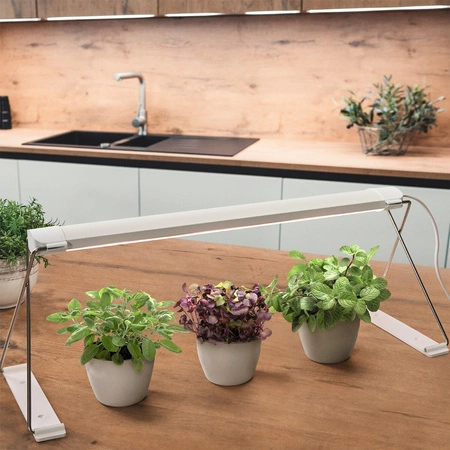 Lampa oświetlenie wewnętrzne LED 14W 3650K wspomagające wzrost roślin LEDVANCE